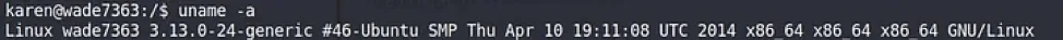 Reading the kernel version with uname -a before selecting an exploit